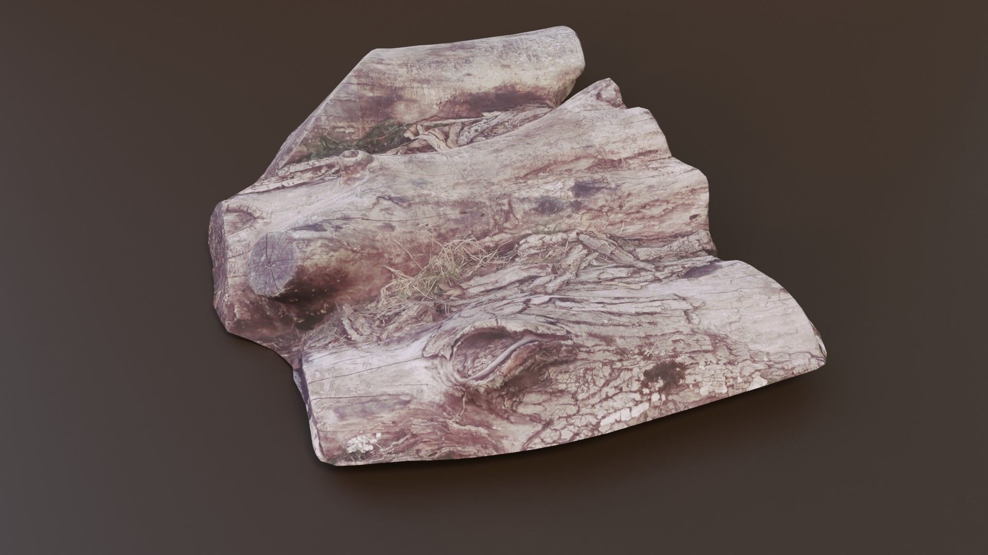 Rotten Logs Low-poly 3D model_9