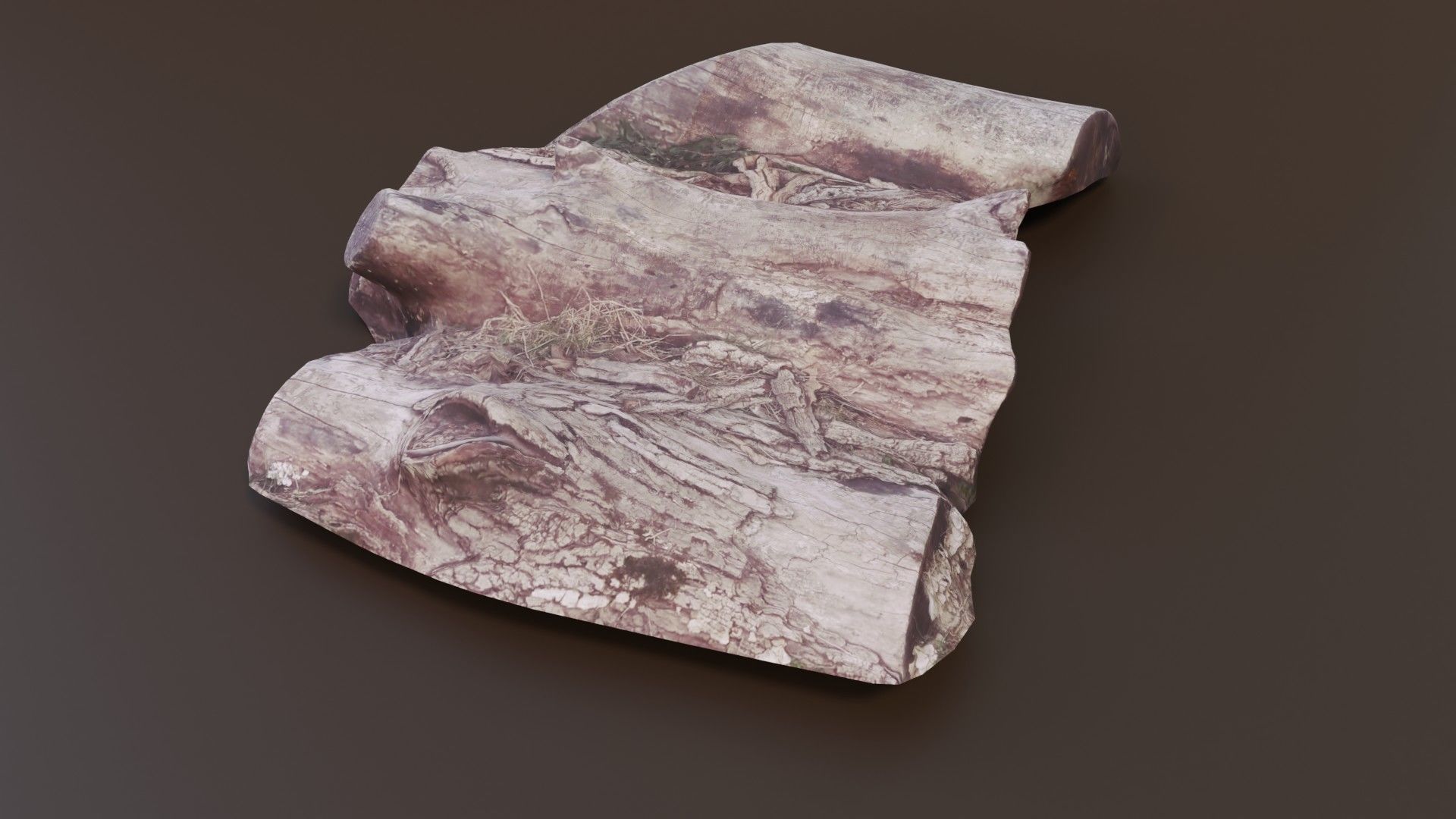 Rotten Logs Low-poly 3D model_8