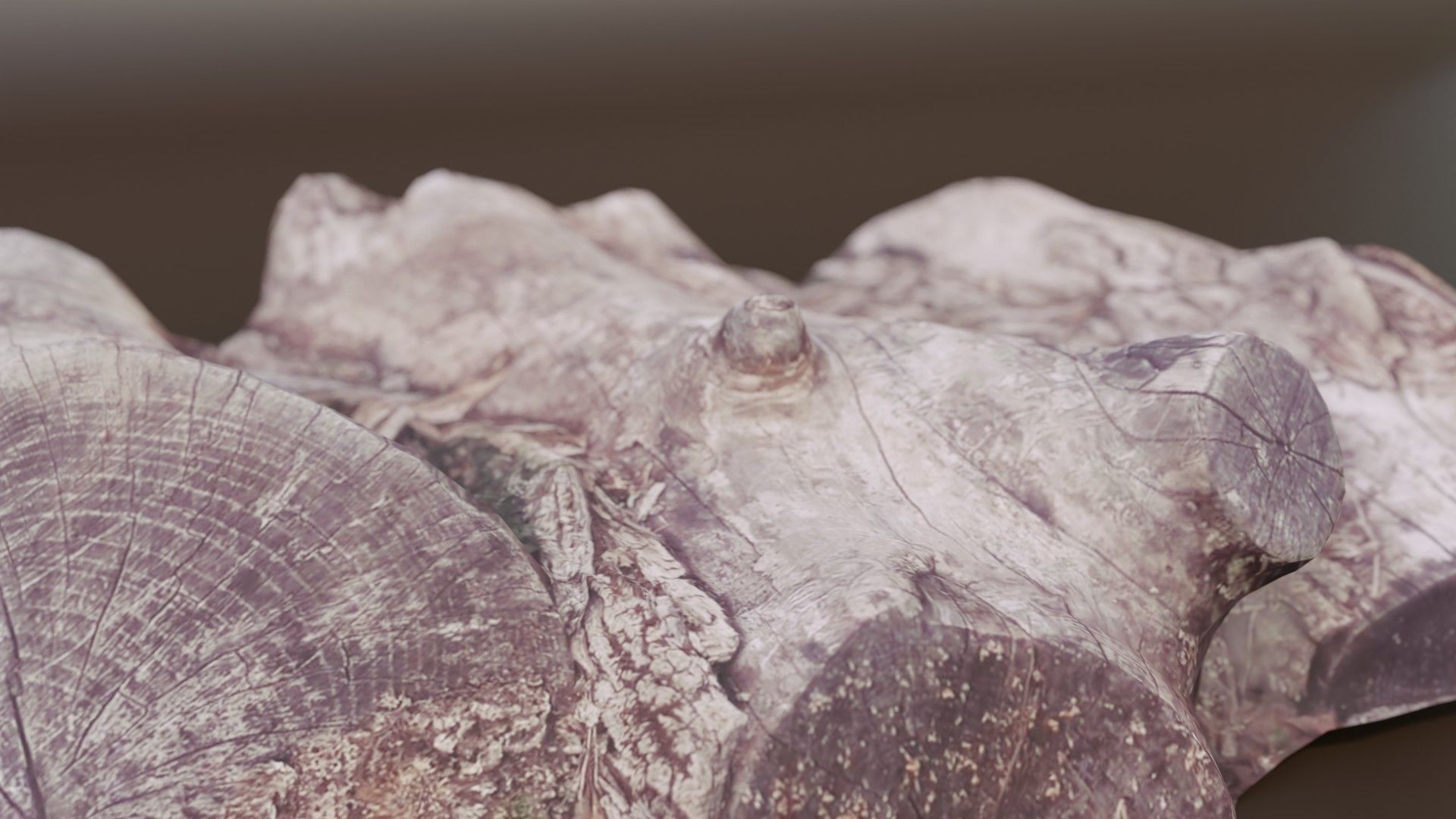 Rotten Logs Low-poly 3D model_1