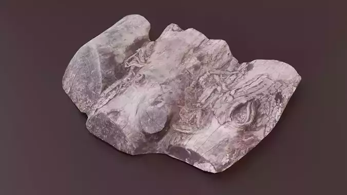 Rotten Logs Low-poly 3D model