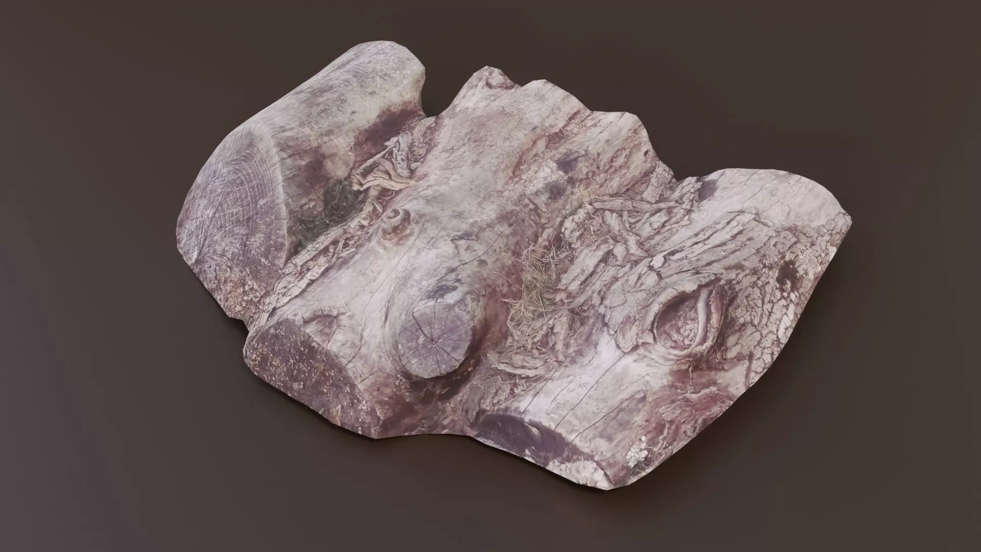 Rotten Logs Low-poly 3D model_0