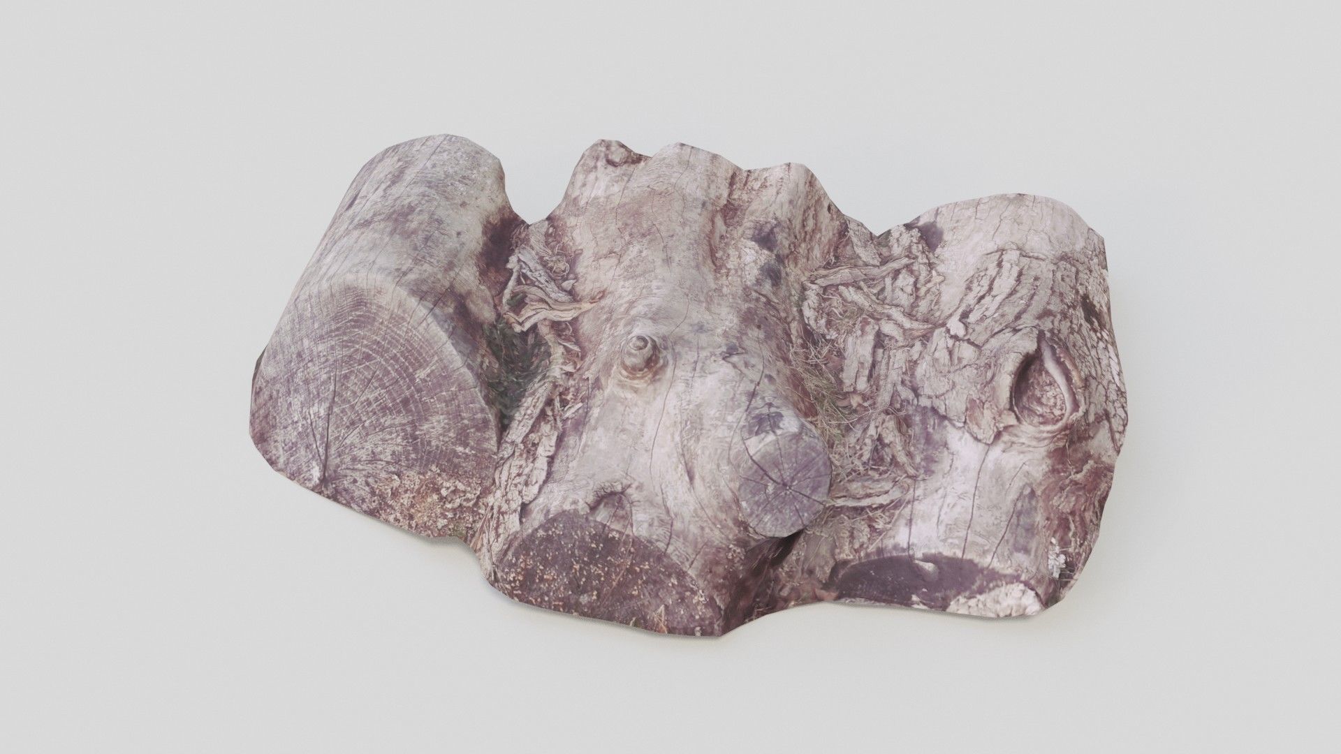 Rotten Logs Low-poly 3D model_10