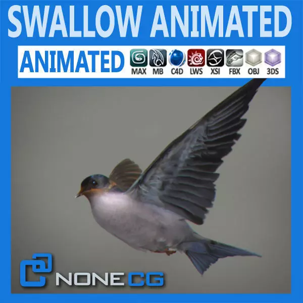 Animated Swallow 3D model