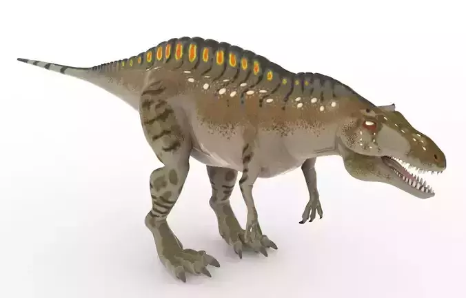 Animal - Dinosaur 