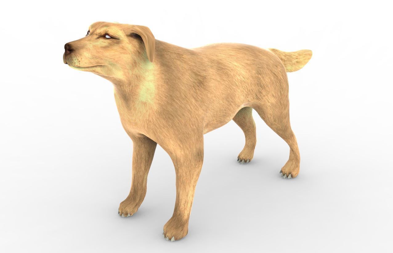 Animal - Dog 3D model_1