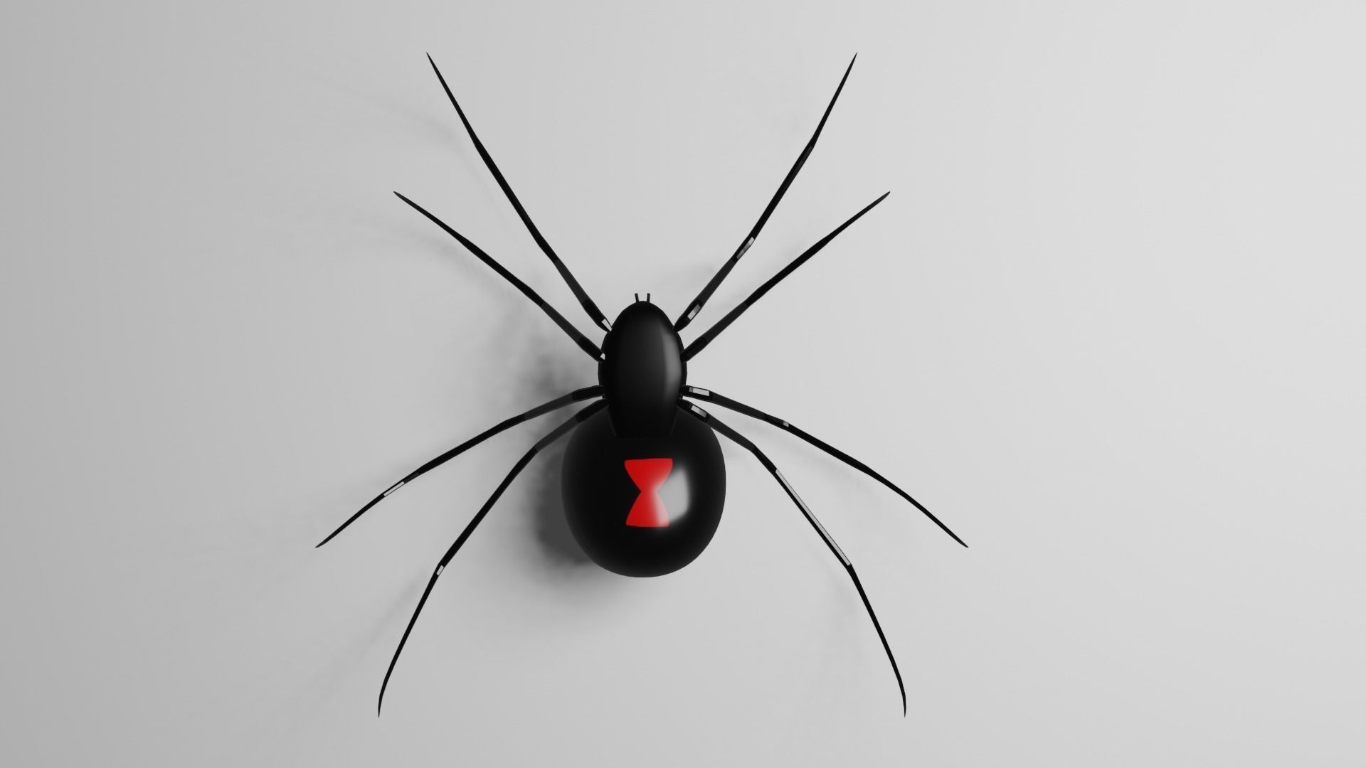 Simple Black Widow Spider Low-poly 3D model_11