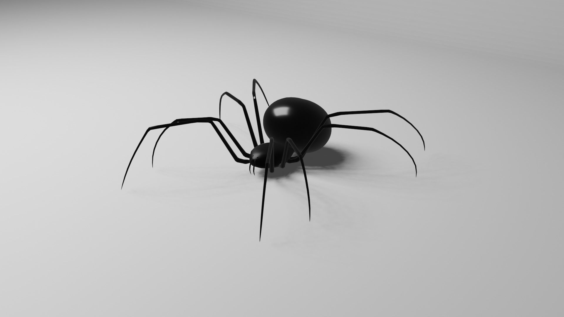 Simple Black Widow Spider Low-poly 3D model_4