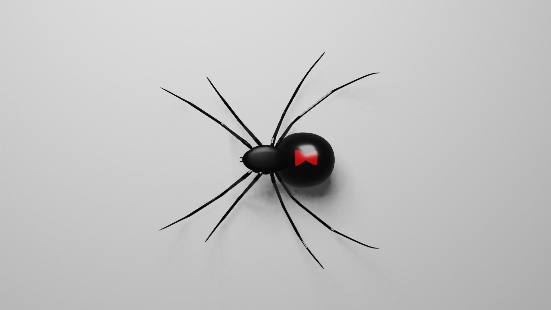 Simple Black Widow Spider Low-poly 3D model_12