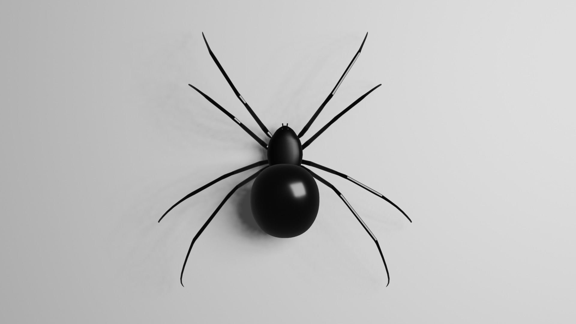 Simple Black Widow Spider Low-poly 3D model_1