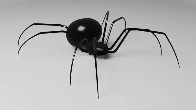 Simple Black Widow Spider Low-poly 3D model