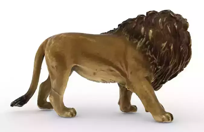 Animal - Lion