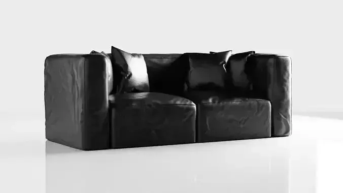 Leather Couch