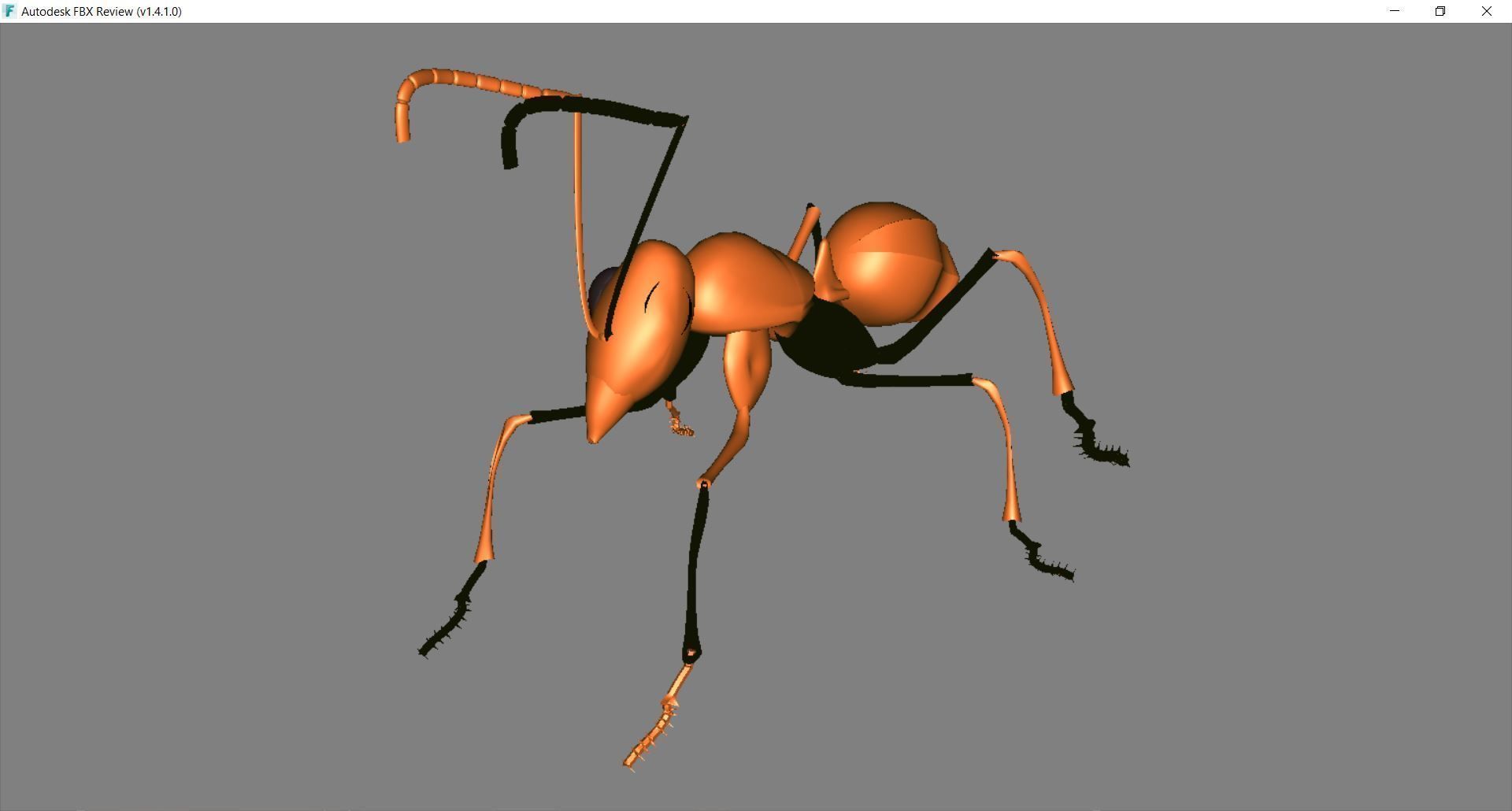 Animal - ant 3D model_2