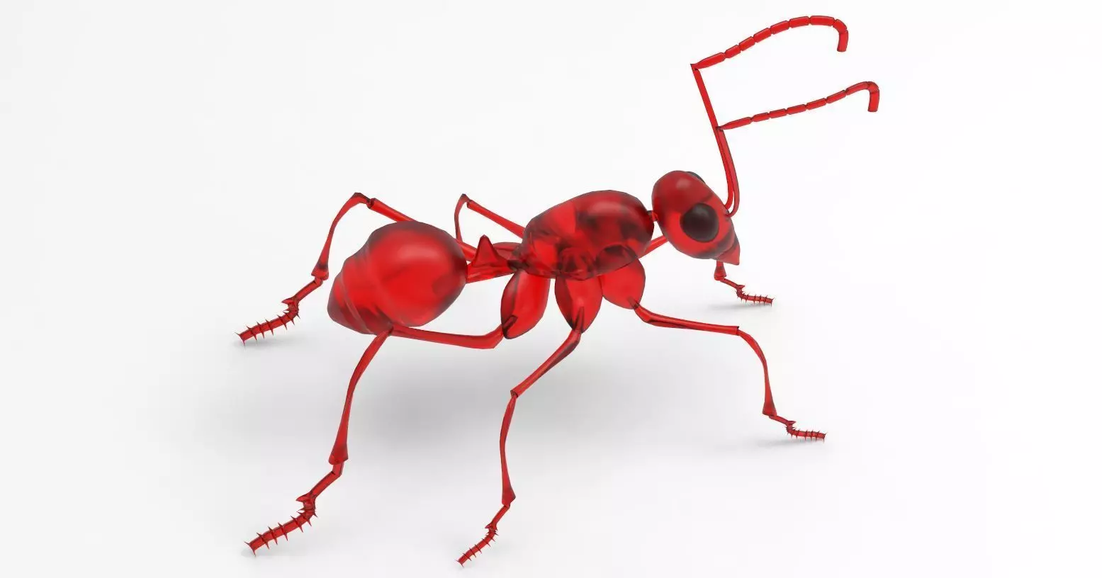 Animal - ant 3D model_0