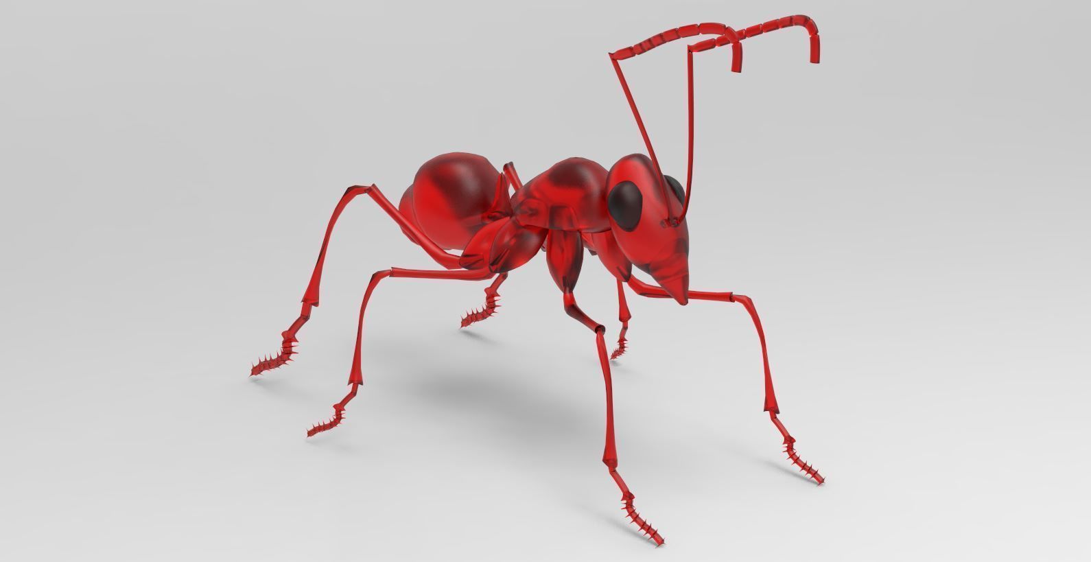 Animal - ant 3D model_1