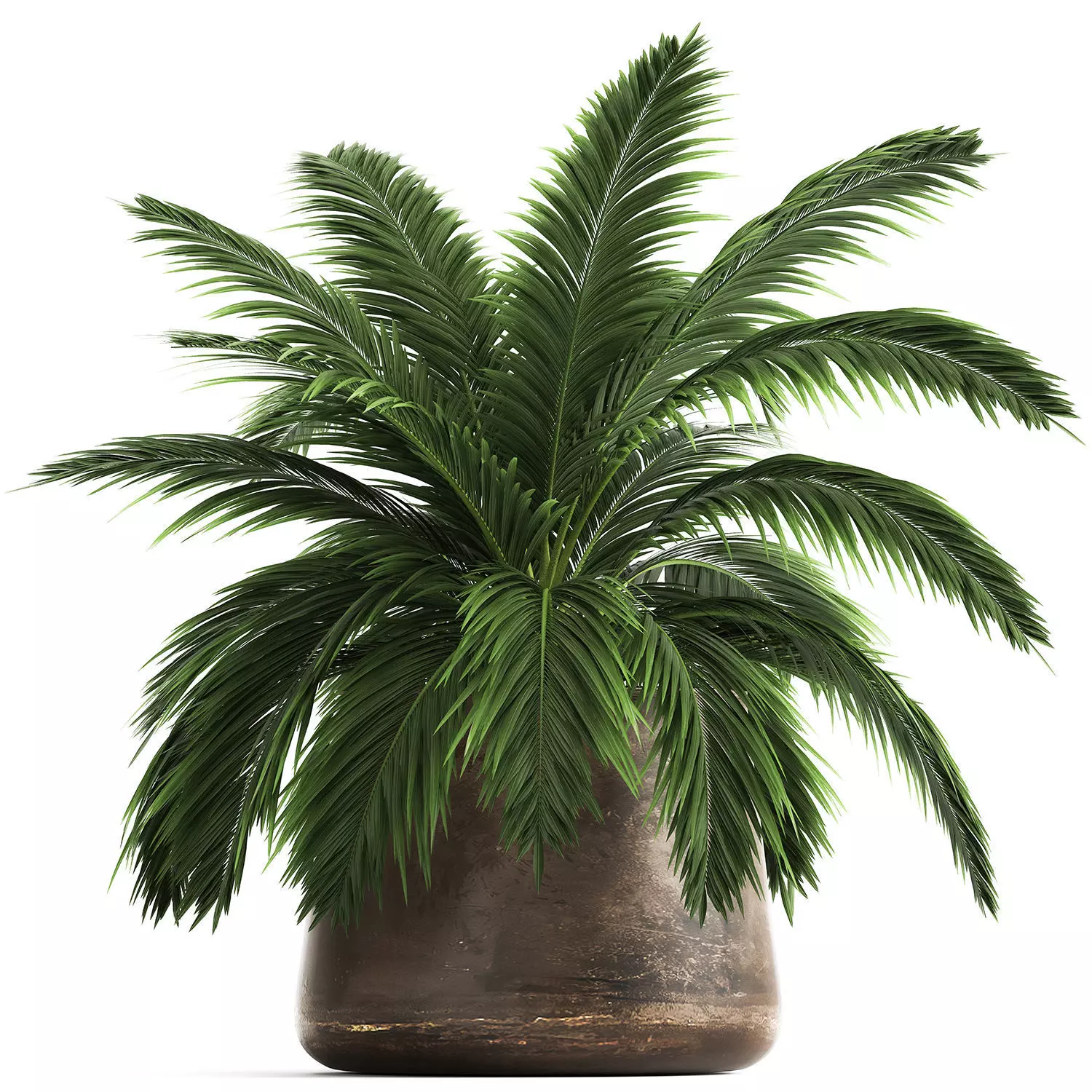 Decorative palm in a Flowerpot for the interior 921 3D model