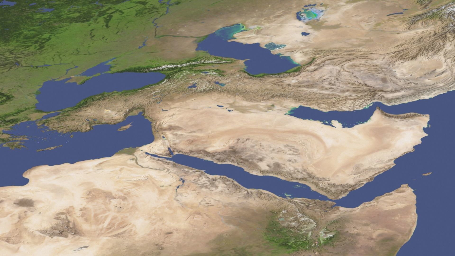 World Map Low-poly 3D model_13