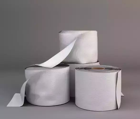 toilet paper rolls