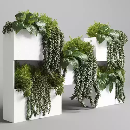 Collection Indoor plant-plant stand white concrete vase set 05