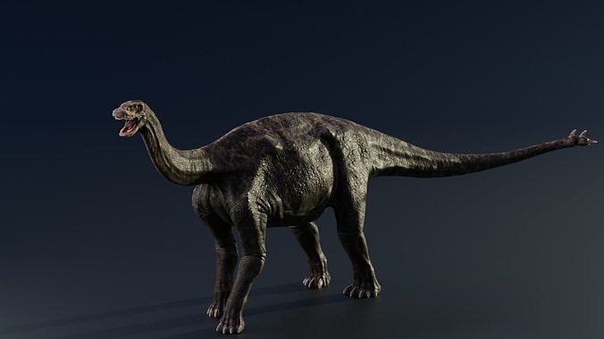 3D Shunosaurus dinosaur Low-poly 3D model