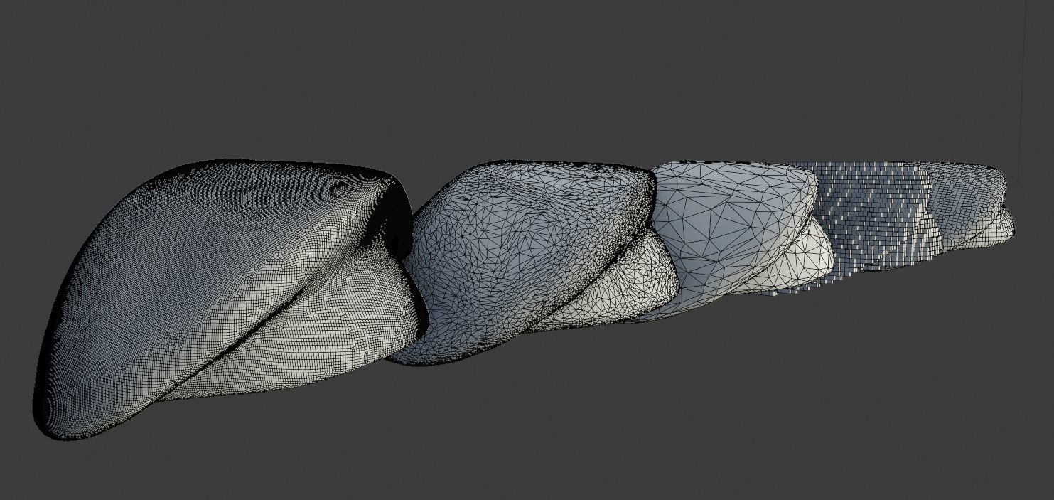 Beret 3D model - multiple versions 3D print model_2