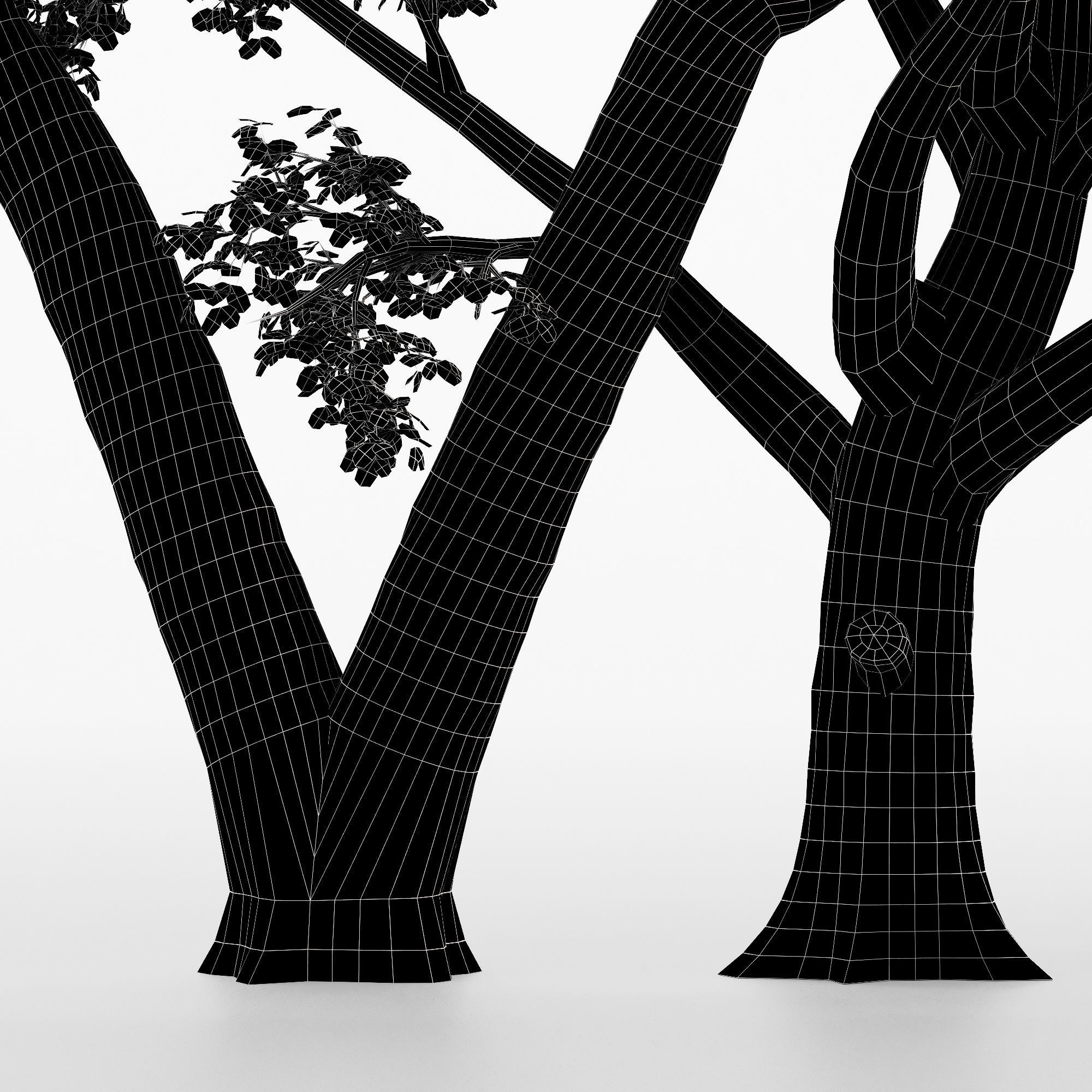 2 Different tree Broadleaf  tree collection 2 trees in the scene 3D model_3
