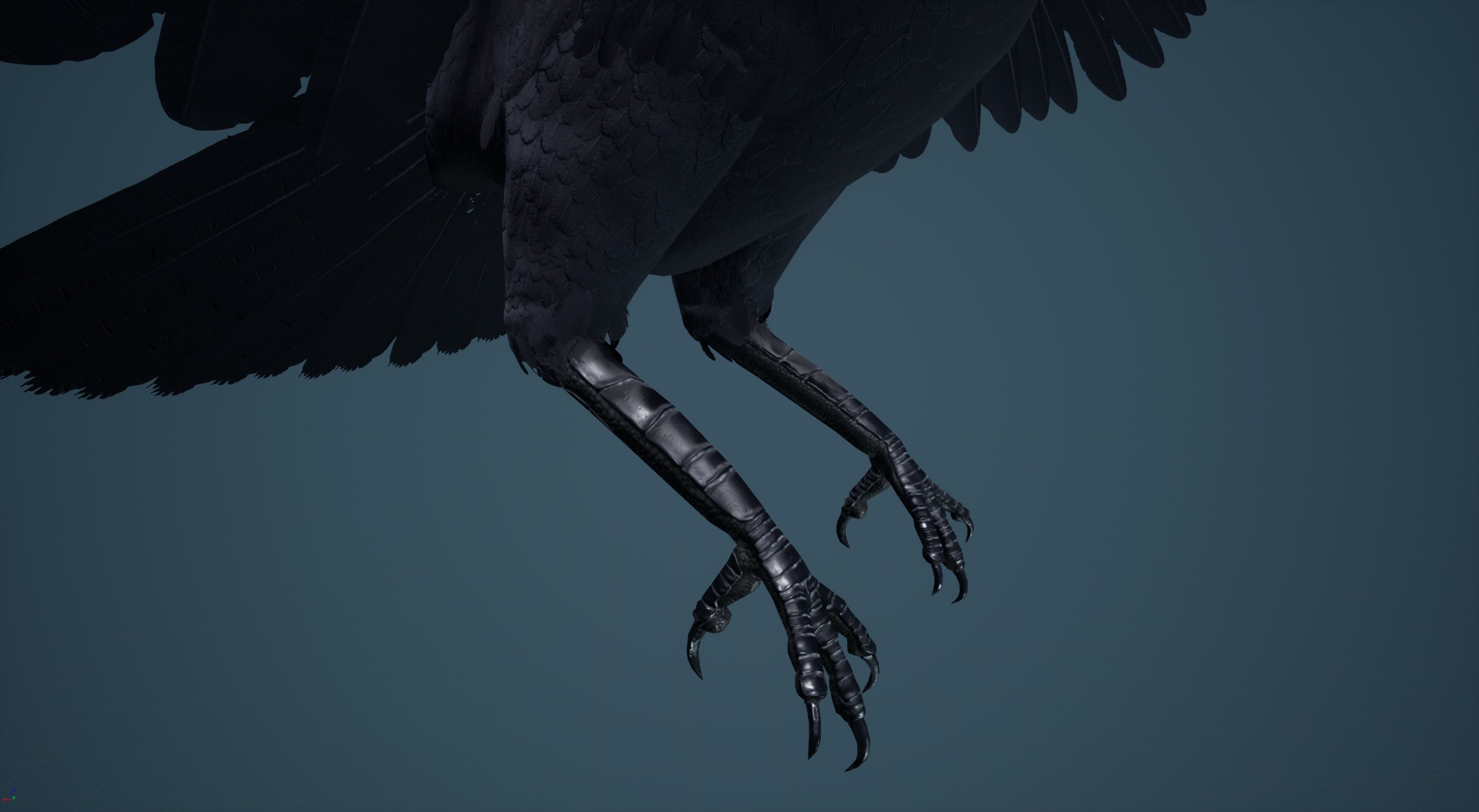 Dead Crow Low-poly 3D model_18