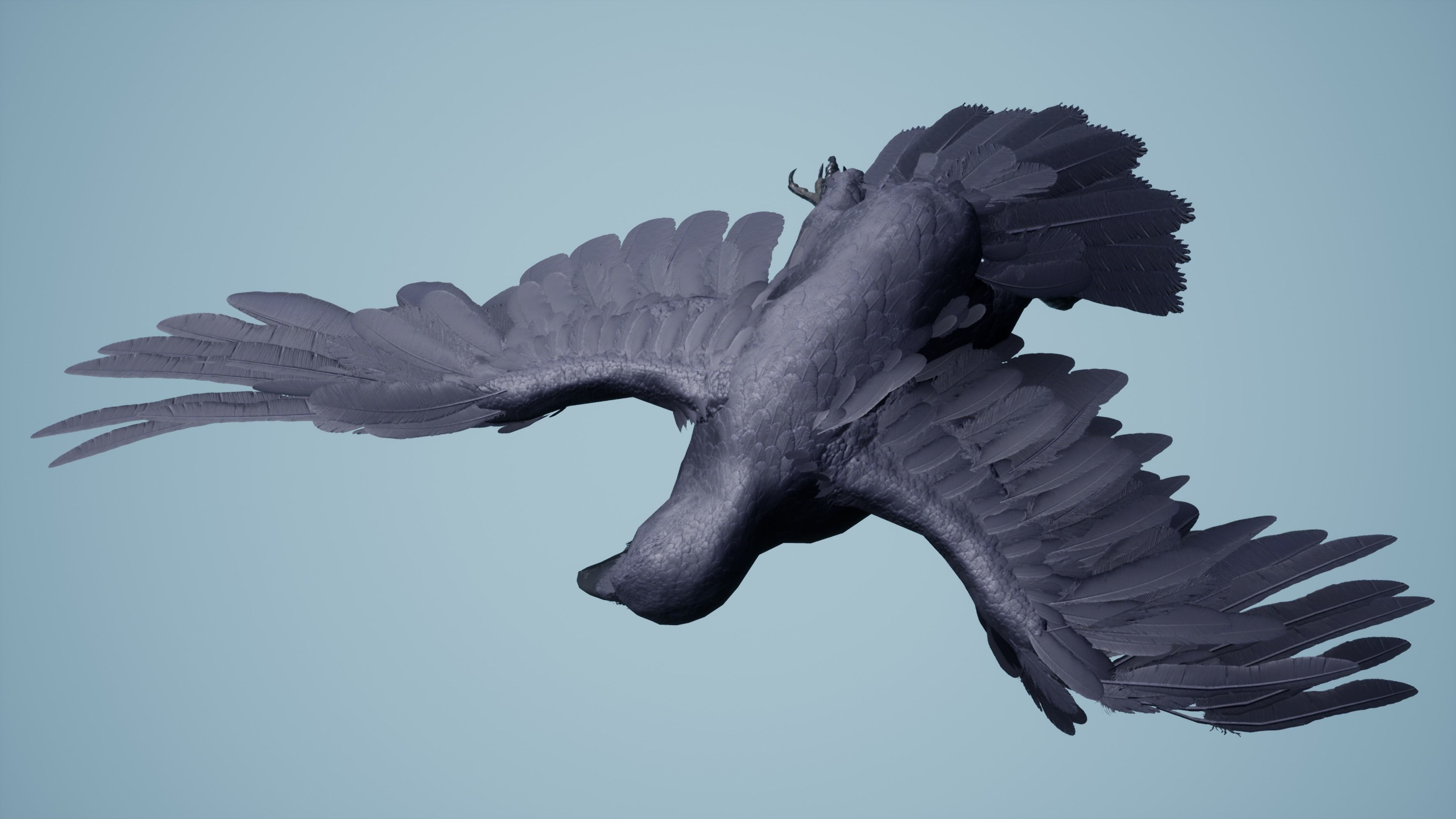 Dead Crow Low-poly 3D model_5