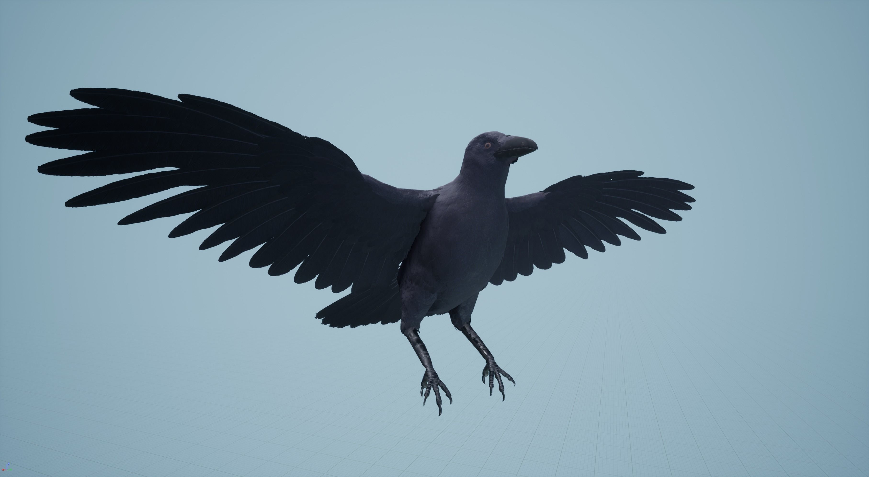 Dead Crow Low-poly 3D model_16