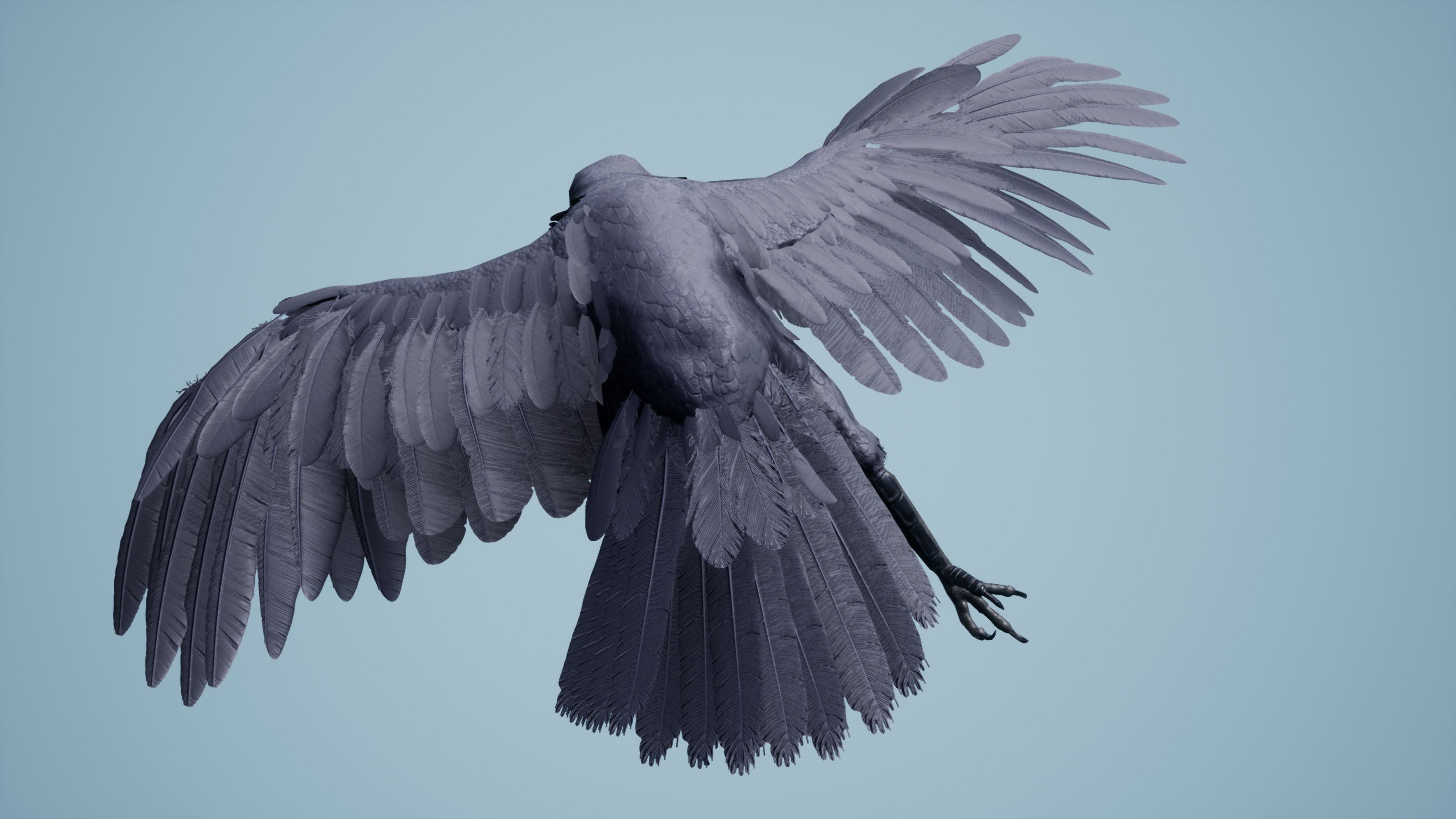 Dead Crow Low-poly 3D model_6