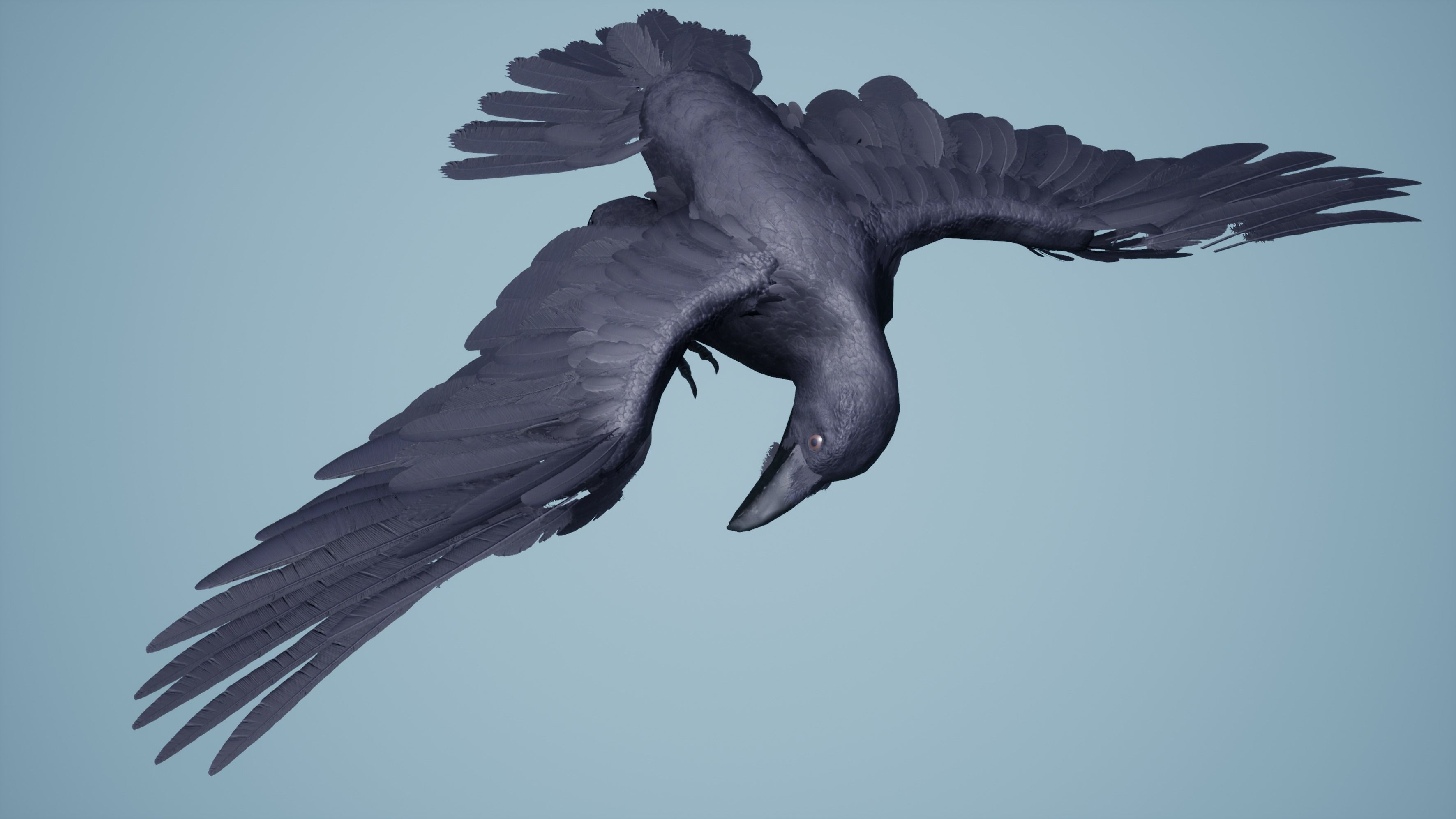 Dead Crow Low-poly 3D model_8