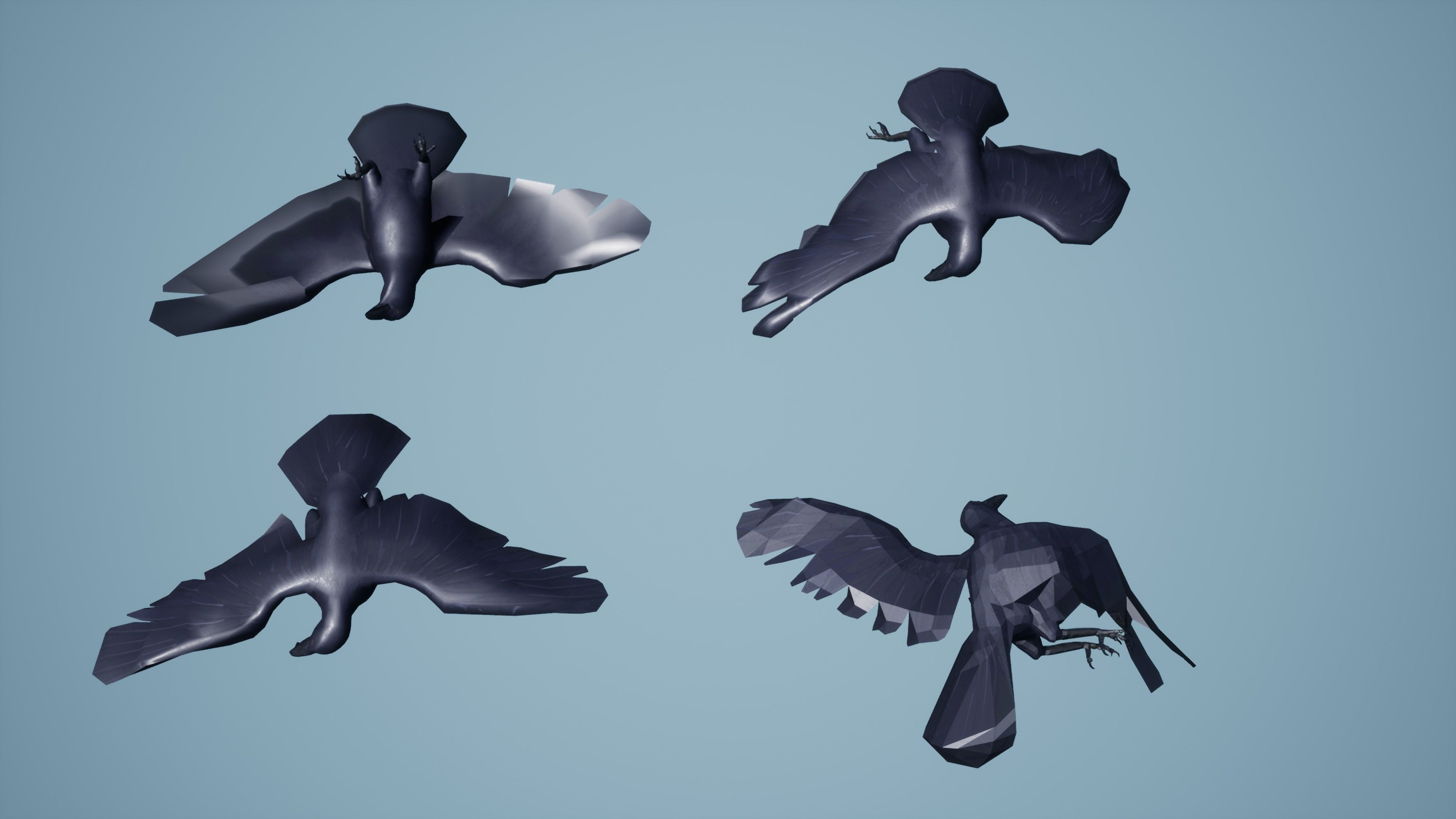 Dead Crow Low-poly 3D model_13