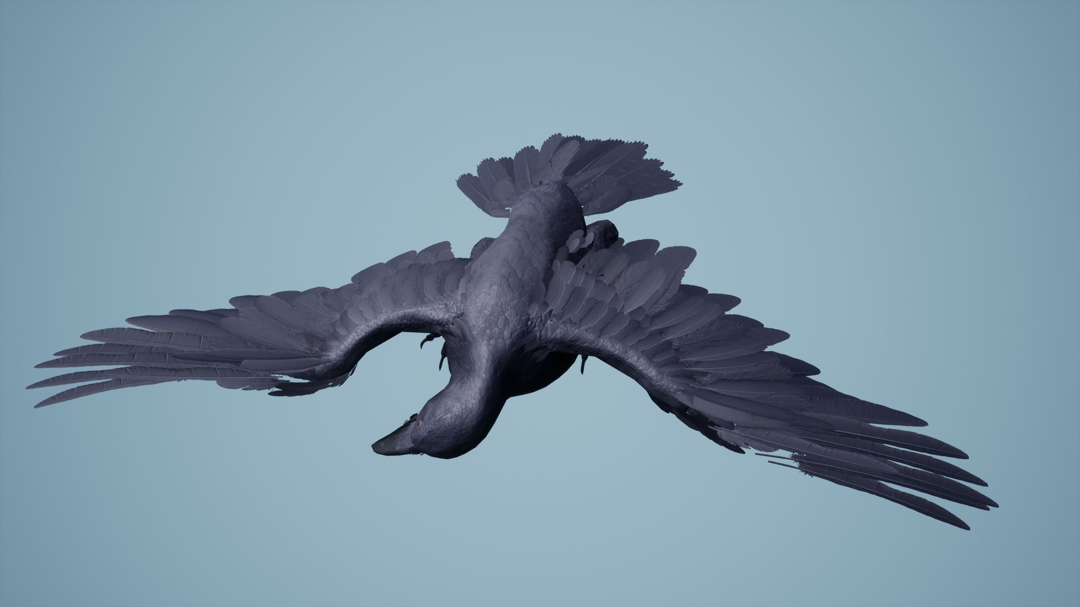 Dead Crow Low-poly 3D model_9
