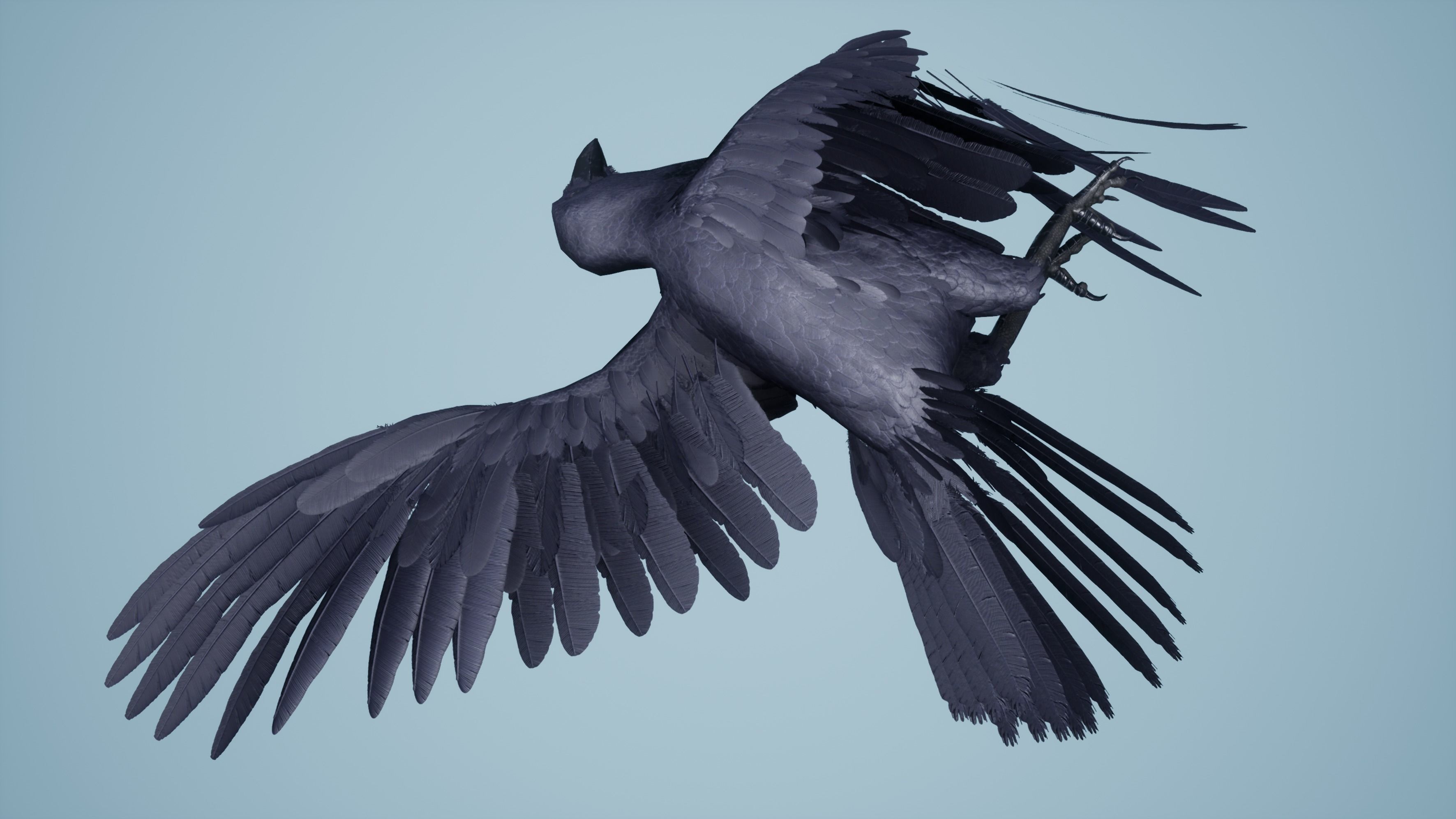 Dead Crow Low-poly 3D model_11