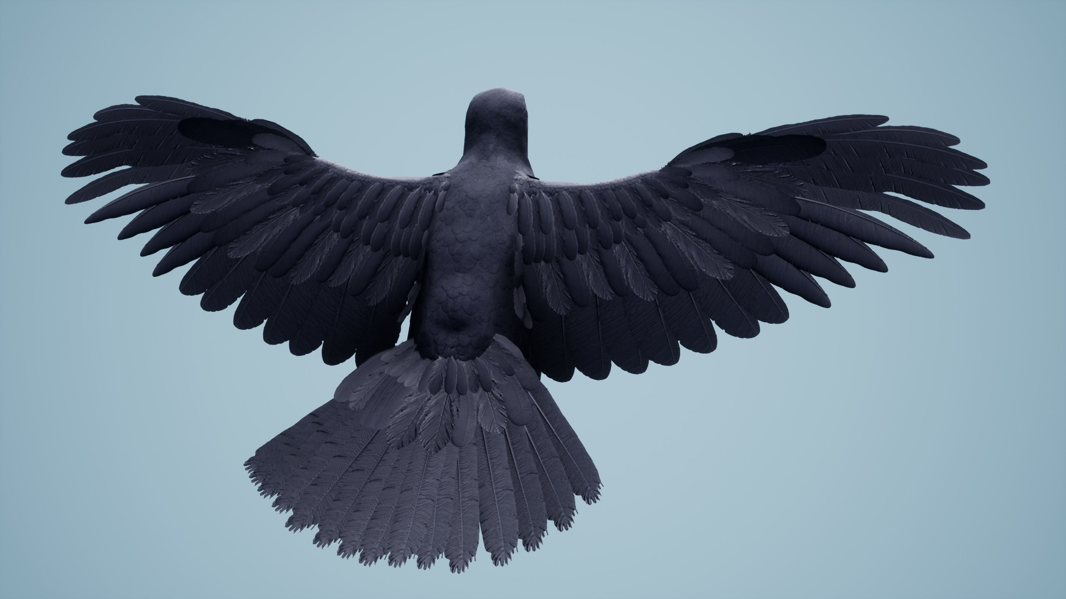 Dead Crow Low-poly 3D model_15