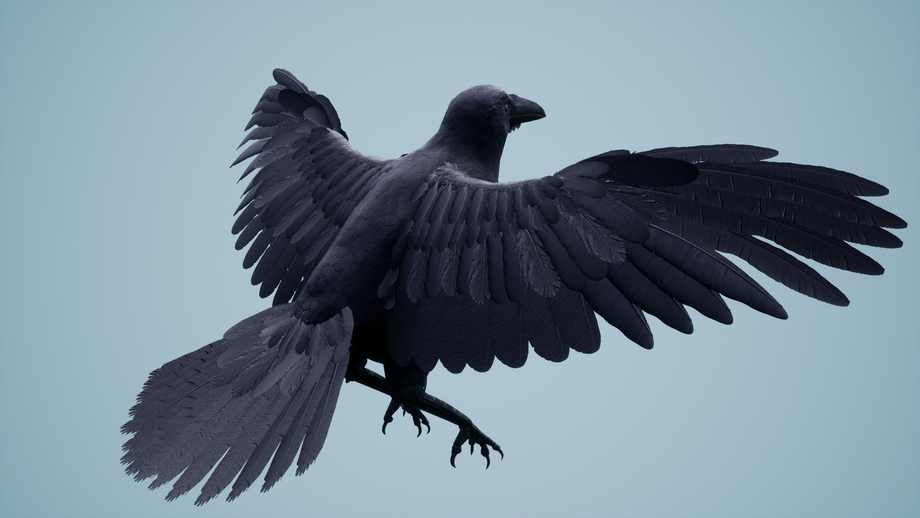 Dead Crow Low-poly 3D model_14