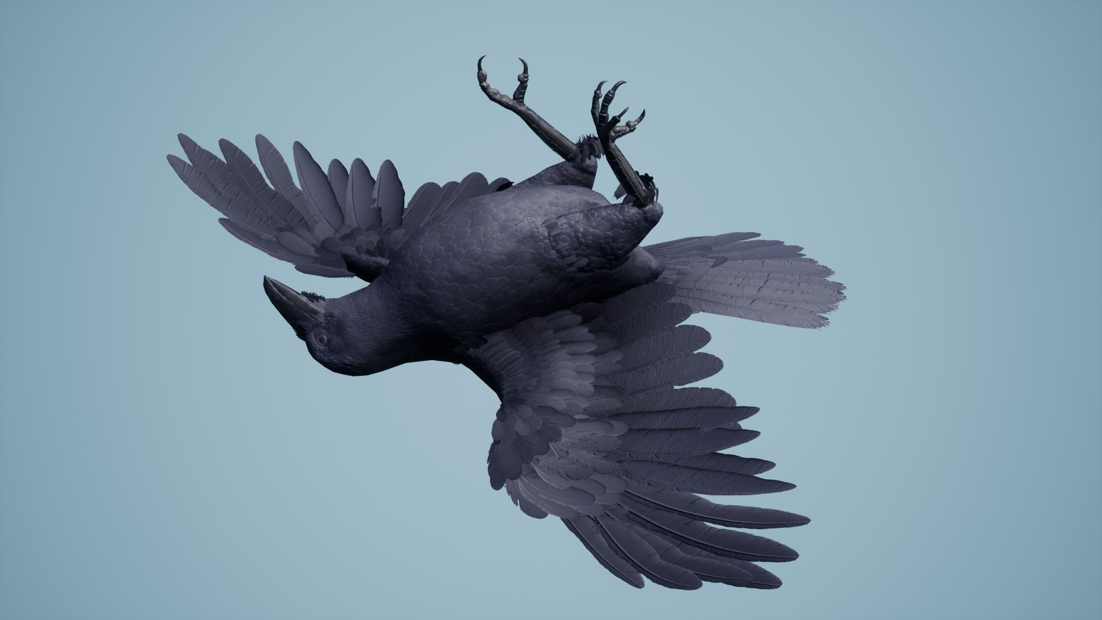Dead Crow Low-poly 3D model_2