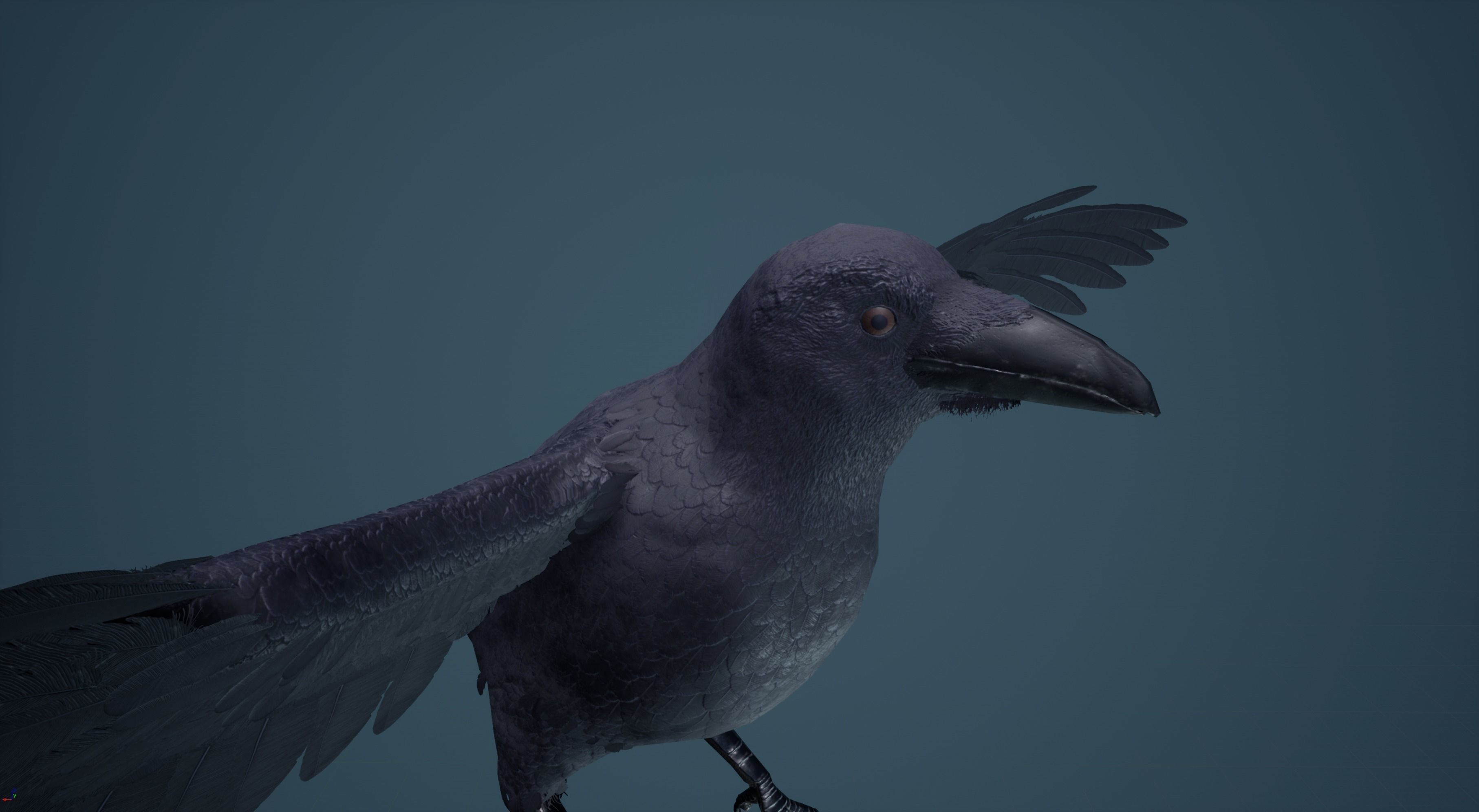 Dead Crow Low-poly 3D model_17