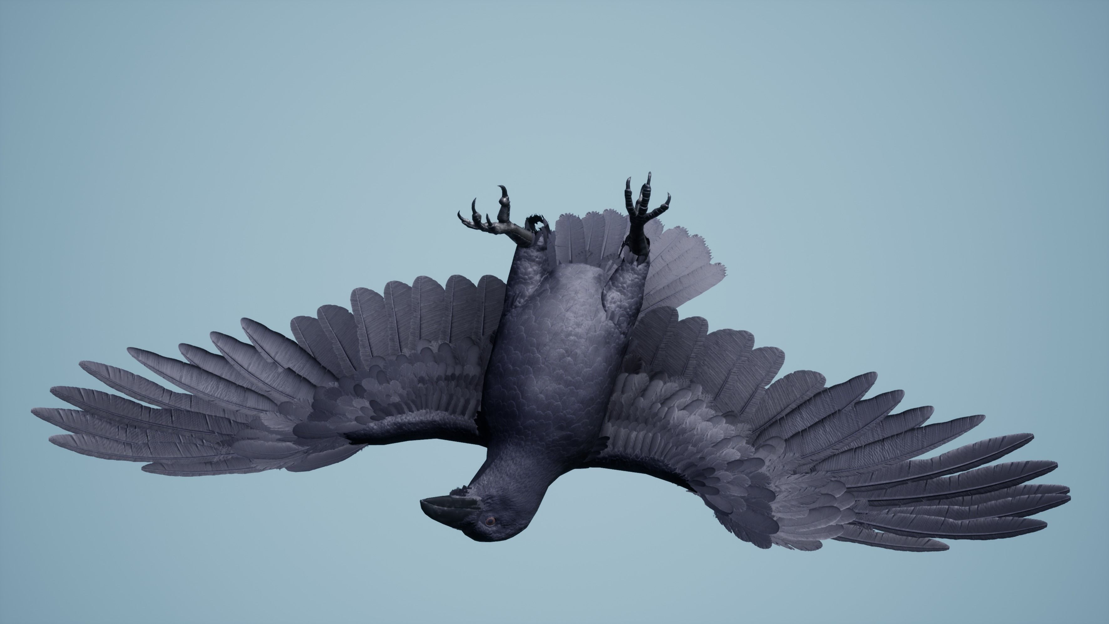 Dead Crow Low-poly 3D model_1