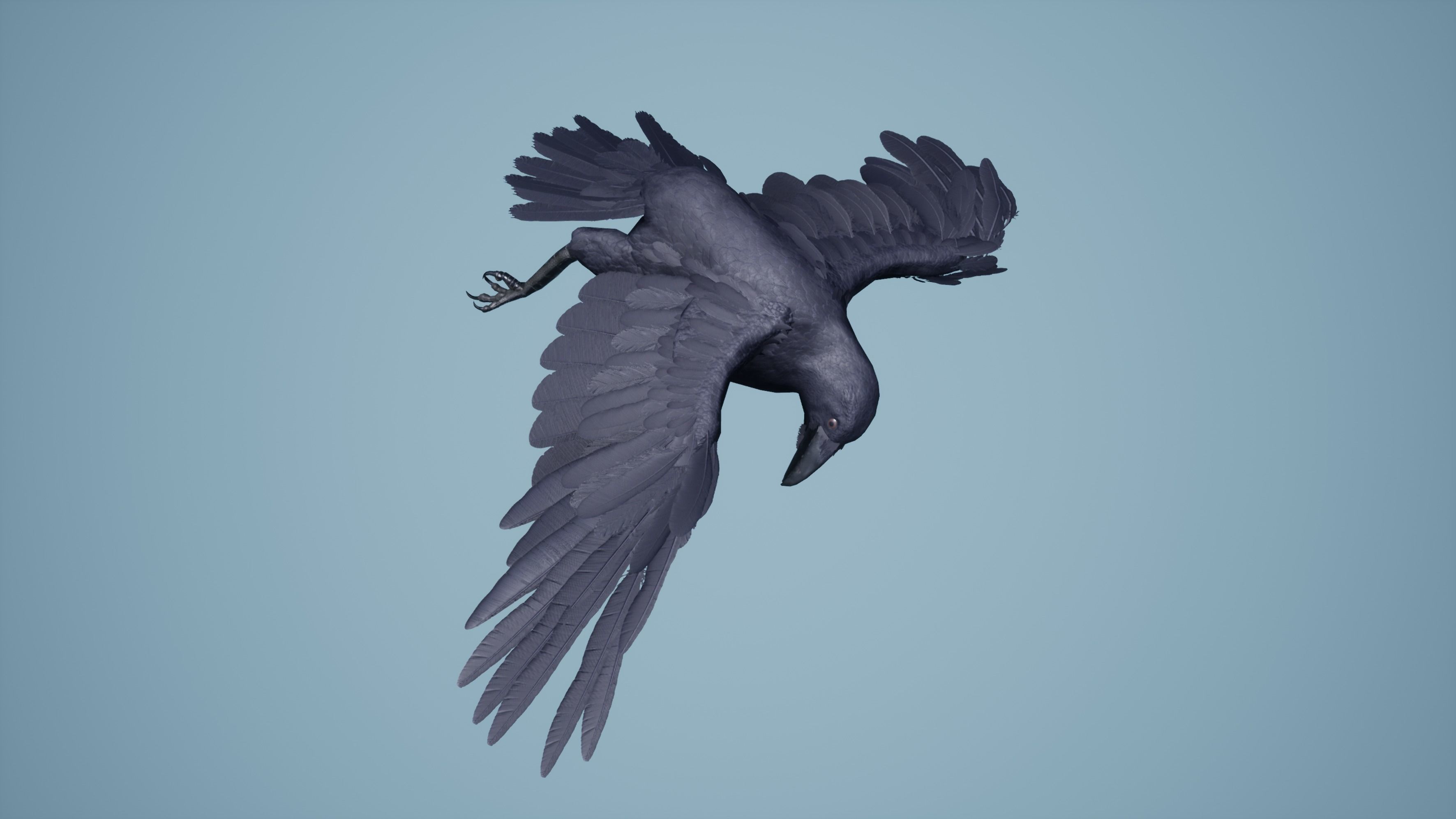 Dead Crow Low-poly 3D model_4