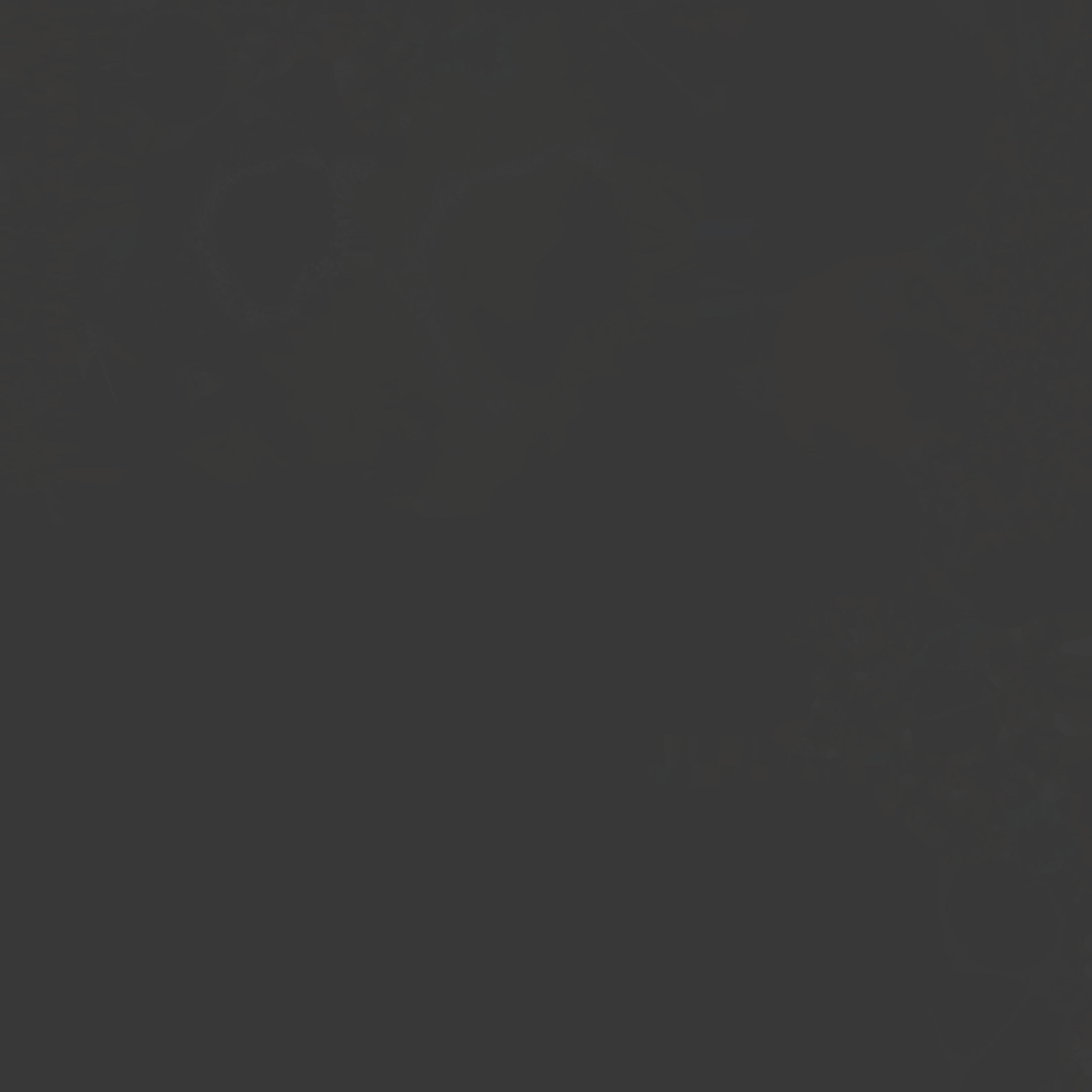 Coral silhouette of woman 3D model_2