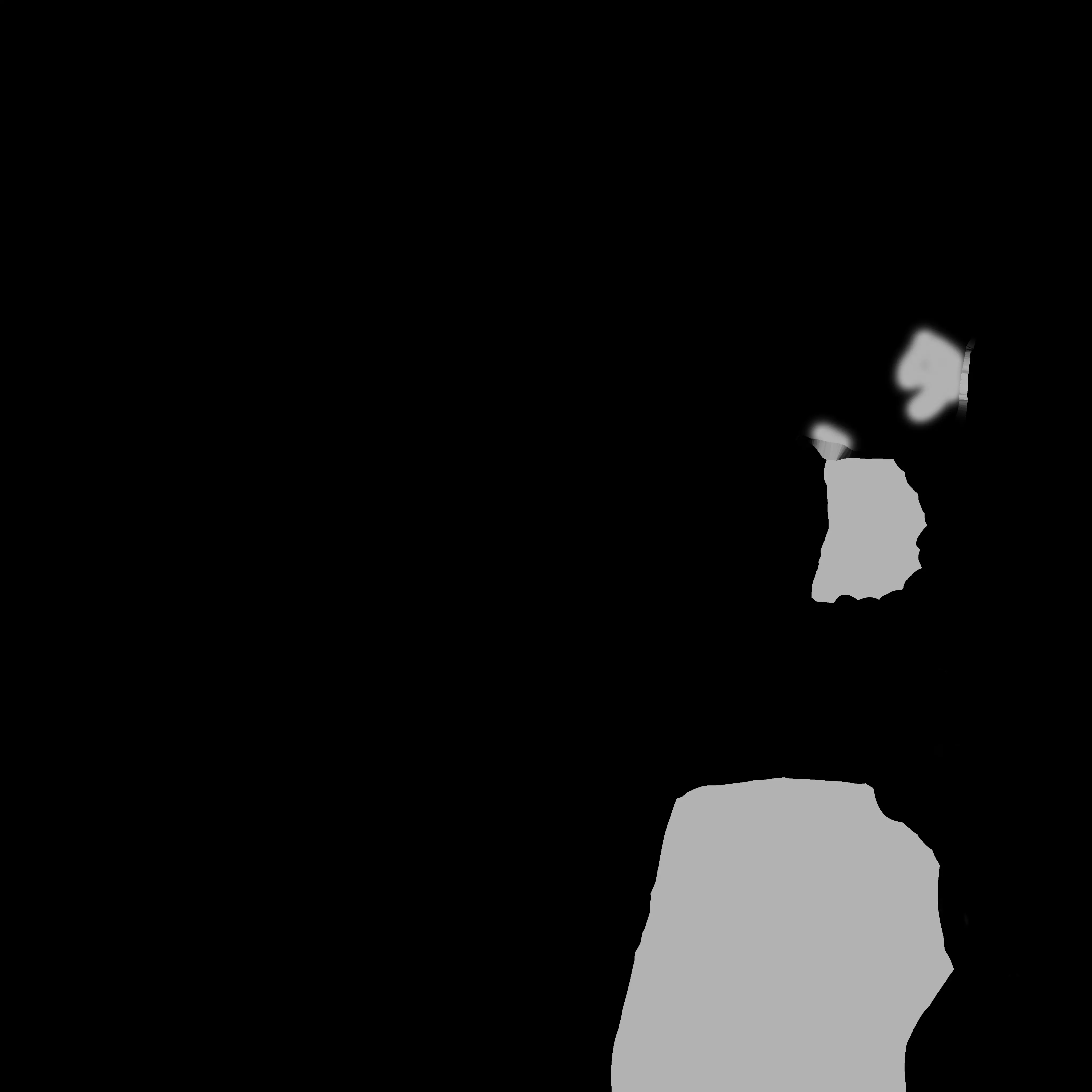 Coral silhouette of woman 3D model_0