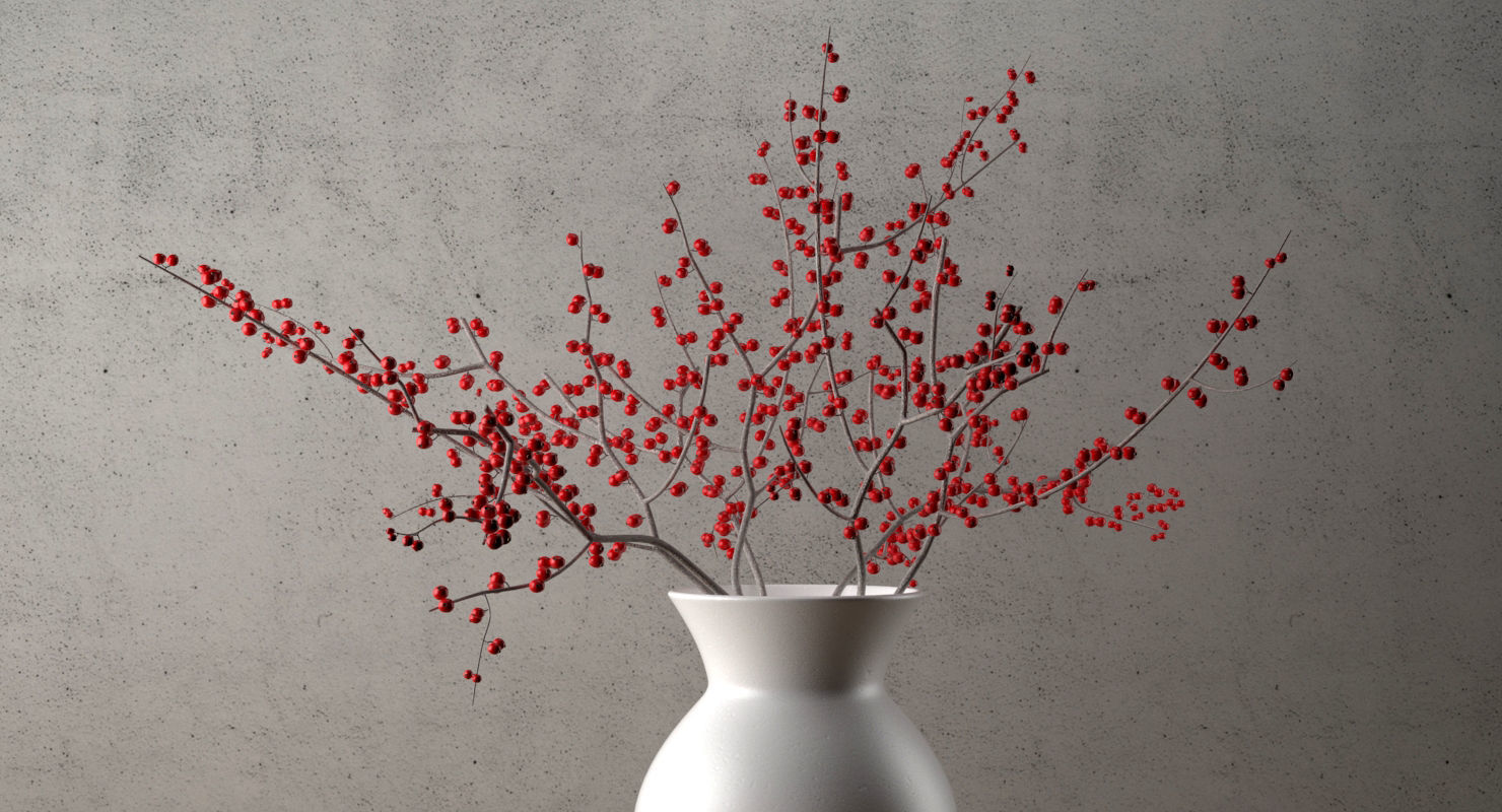 Branches With Berries In Vase 3D model_3