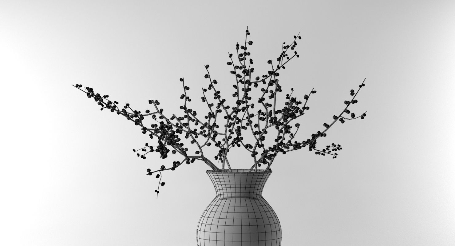 Branches With Berries In Vase 3D model_7
