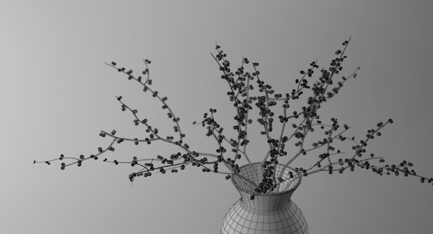 Branches With Berries In Vase 3D model_5