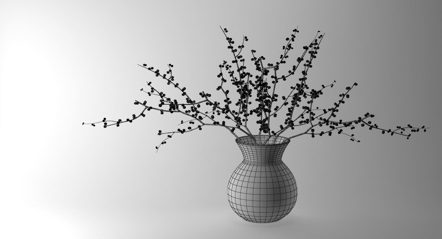 Branches With Berries In Vase 3D model_4