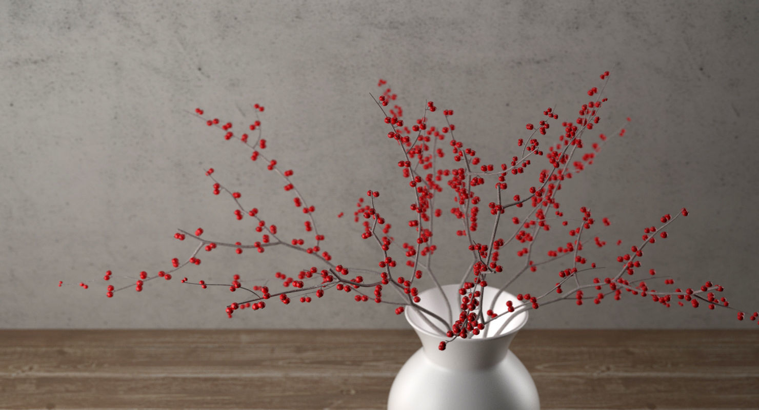 Branches With Berries In Vase 3D model_1