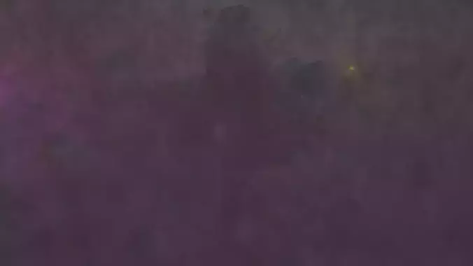 fig tree in a fog cloud 