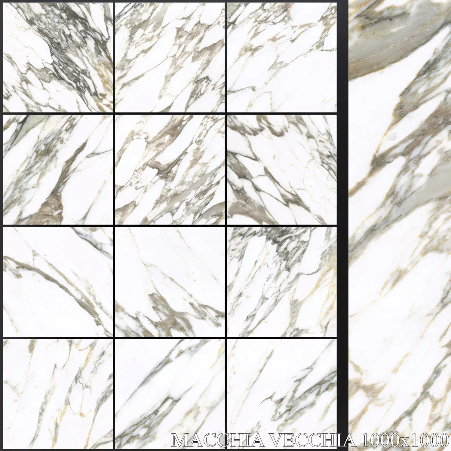 Peronda Macchia Vecchia 1000x1000 3D model_0