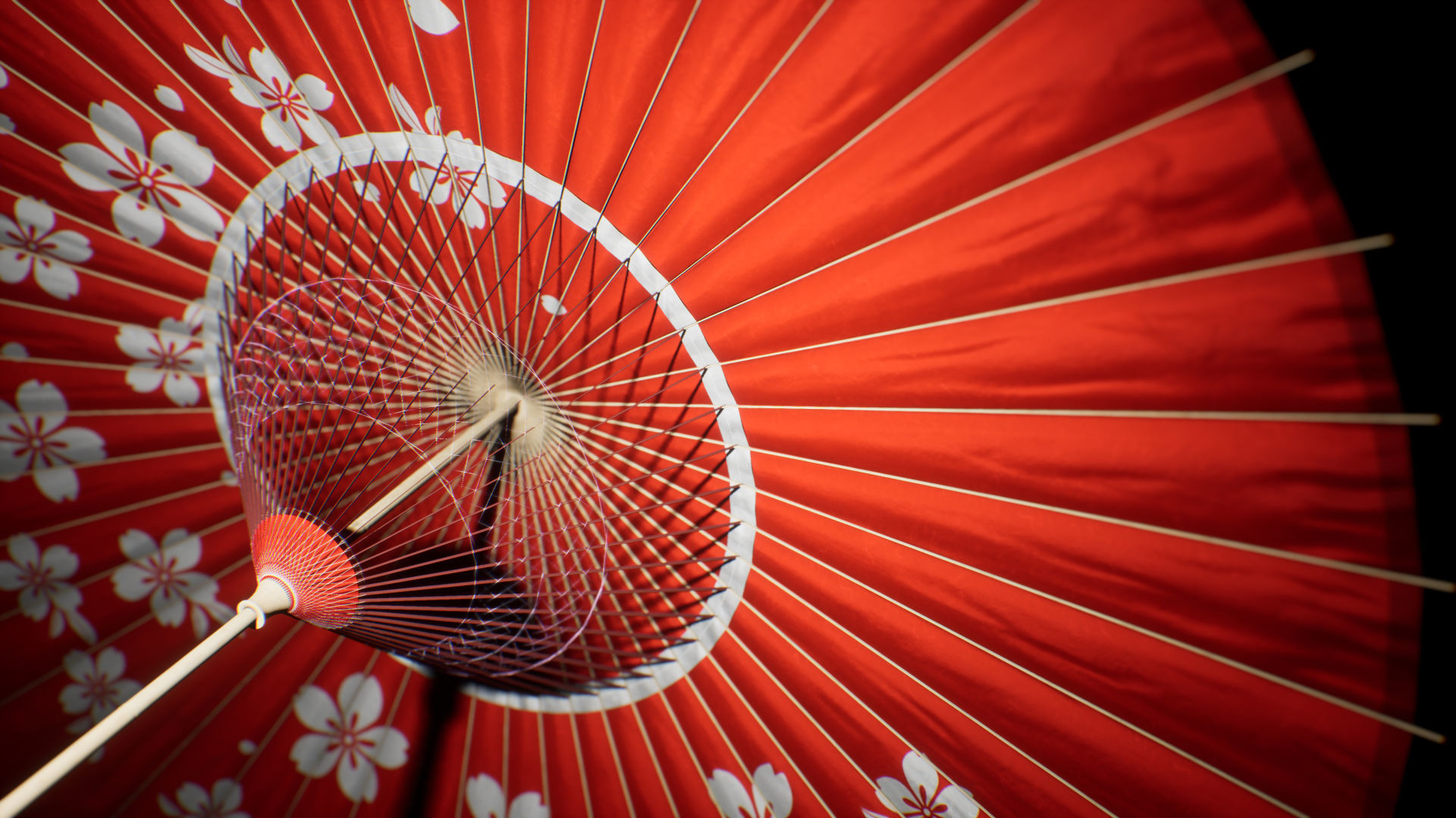 WAGASA -Japanese Umbrella- 3D model_3